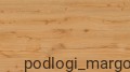 dab-imbirowy-large-polac.jpg